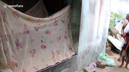 Sleeping woman finds deadly viper inside her mosquito net