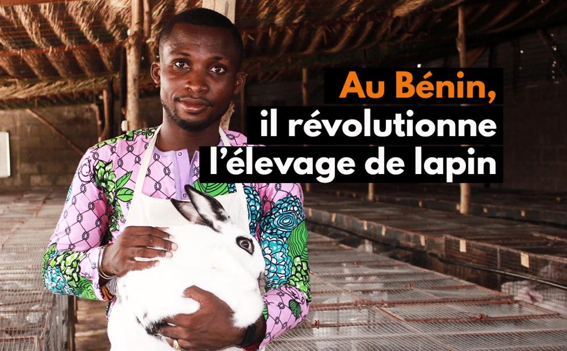 Au Bénin, il révolutionne l’élevage de lapin