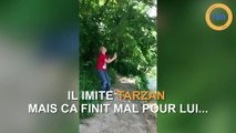 Il imite Tarzan mais ça ne se passe pas comme prévu
