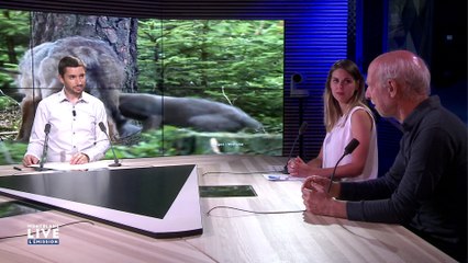 Montblanc Live ! [S.1][E.139] - S1:E139 - Yves Paccalet et Claude Font