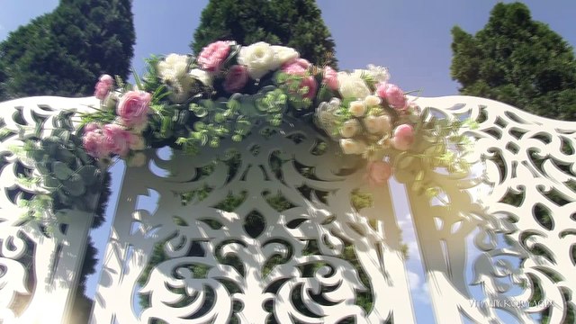 Оформление свадьбы, свадебная арка, фотозона, украшение зала, свадебный декор Днепр