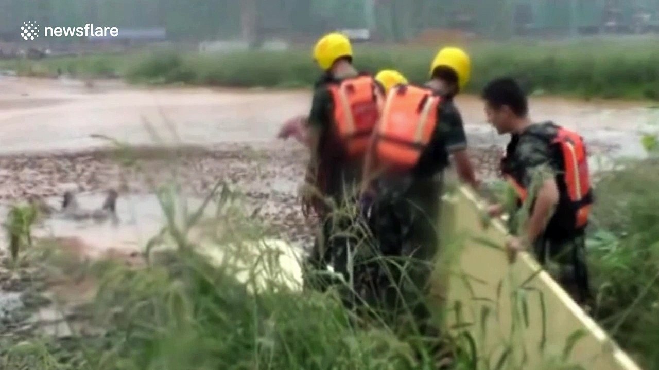 Man stuck in mud rescued by firefighters in China