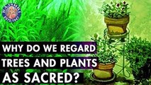 Do You Know? - Why Do We Regard Trees & Plants Sacred? | Interesting Facts About Trees & Plants
