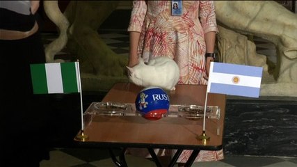 Argentina eliminada del Mundial según el gato Aquiles