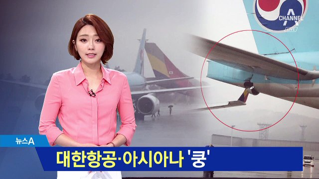 대한항공·아시아나 ‘접촉 사고’…사고 원인 공방