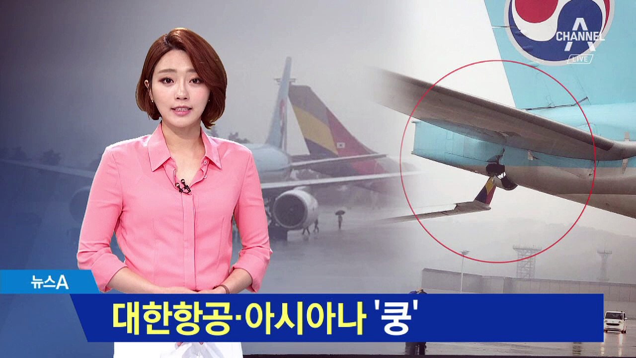 대한항공·아시아나 ‘접촉 사고’…사고 원인 공방