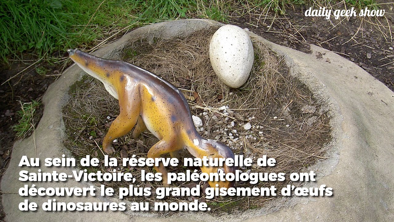 L'un des plus importants gisements d'oeufs de dinosaures du monde se trouve en France
