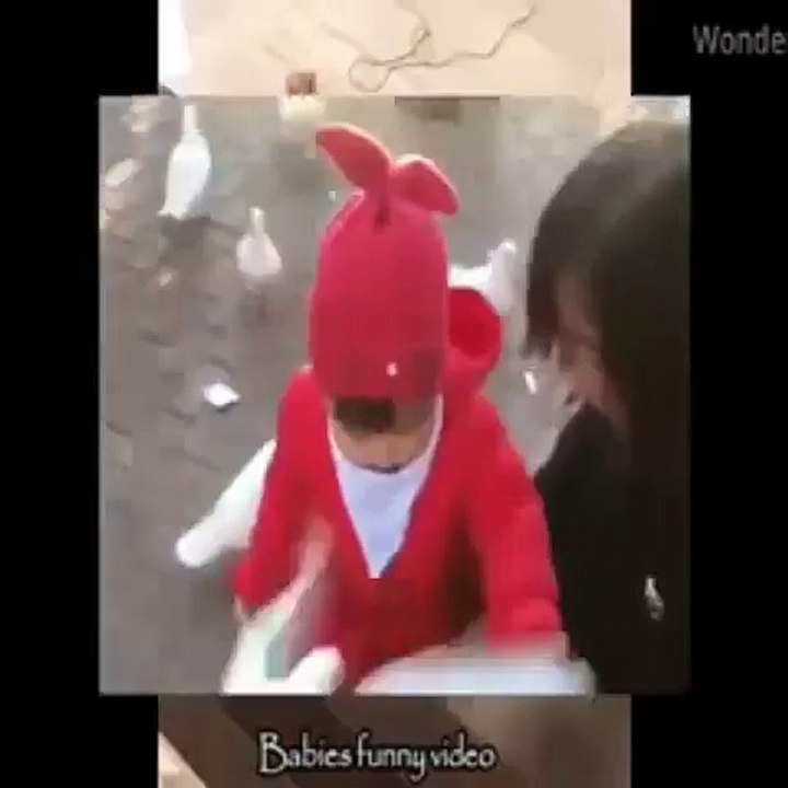 video lucu bayi