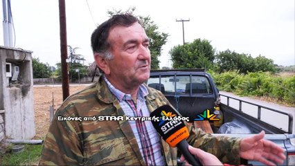 Οι Ρομά έχουν γίνει μάστιγα στη Λαμία