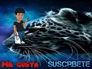 Videos chuscos parte 4