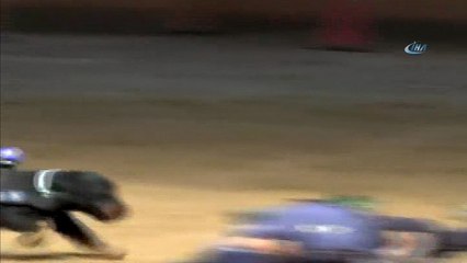 - Kalp Masajı Yapan Köpek Gönülleri Fethetti