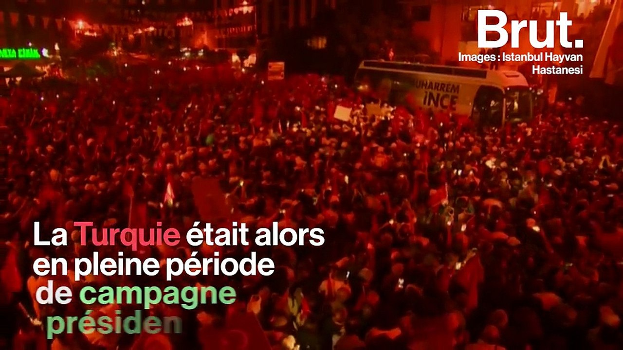 Turquie : comment un chiot a bousculé les élections présidentielles