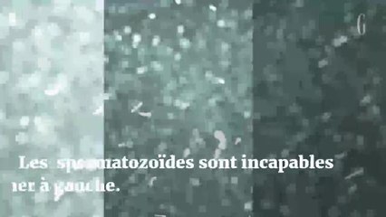 Petits secrets inutiles du corps humain