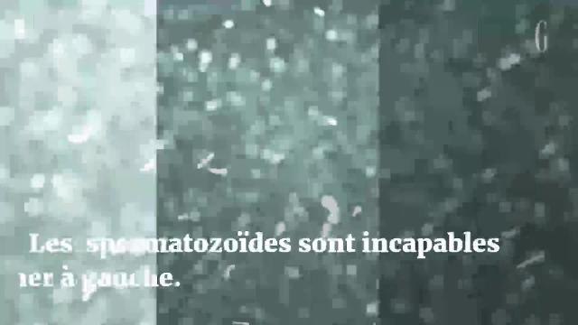 Petits secrets inutiles du corps humain