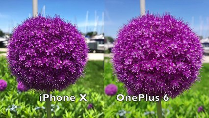 iPhone X vs OnePlus  6 Camera Comparison Full Review 2018