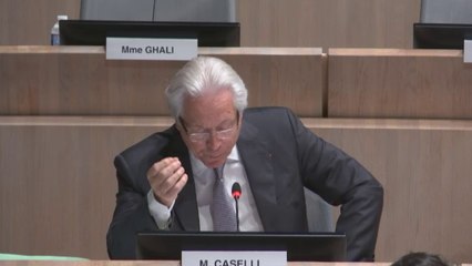 Eugène Caselli intervient sur l'avenir du Parc Chanot