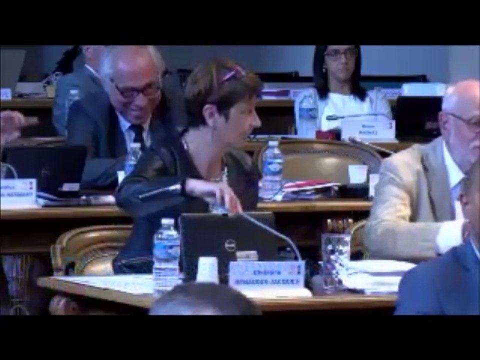 Christine RENAUDIN-JACQUES. Voeu relatif au SRADDET et au mix énergétique. 25 juin 2018