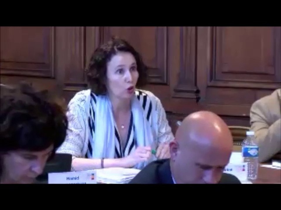 Sandrine HILY. Voeu relatif au MERCOSUR. Session du 25 juin 2018