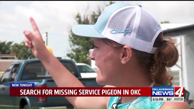 Woman Desperately Searching for Missing Emotional Support Pigeon