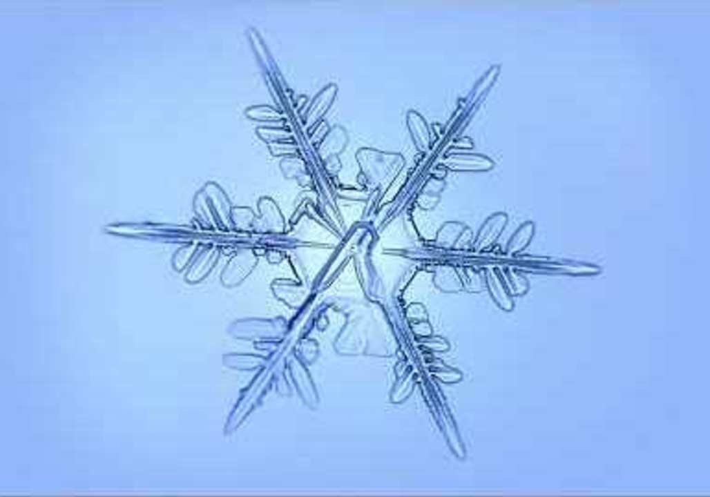 Hypnotizing Timelapse Shows Frost Developing Through a Microscope