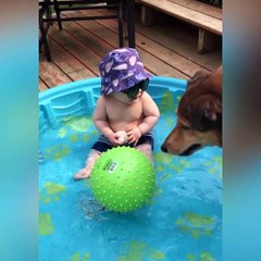 Must watch very funny babies and dogs