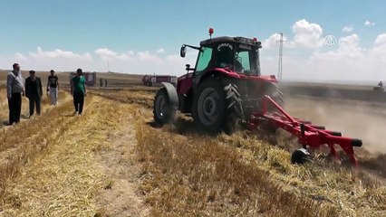 Kulu'da buğday tarlasında yangın - KONYA