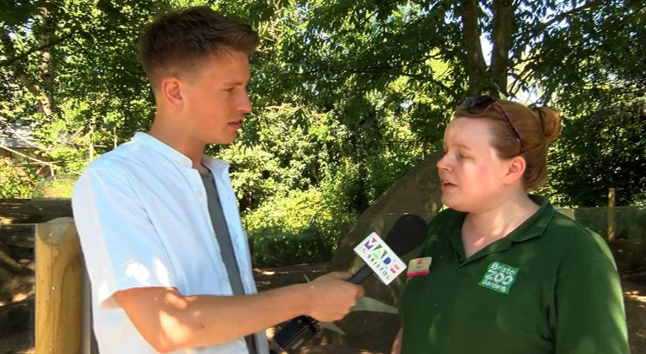 Keeping Animals Cool at Bristol Zoo Gardens