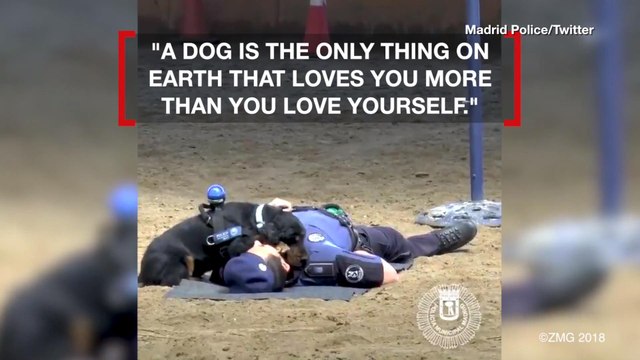 Watch This Police Dog 'Perform CPR' in Adorable Demonstration
