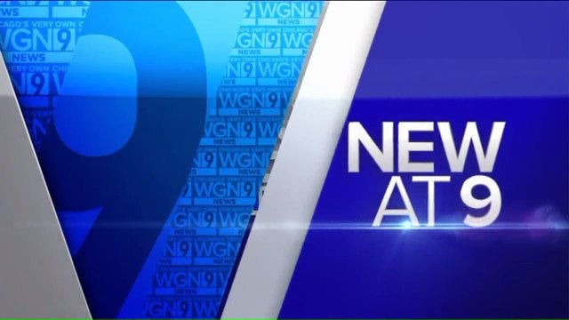 Chicago Priest Stripped of Duties Amid Misconduct Investigation