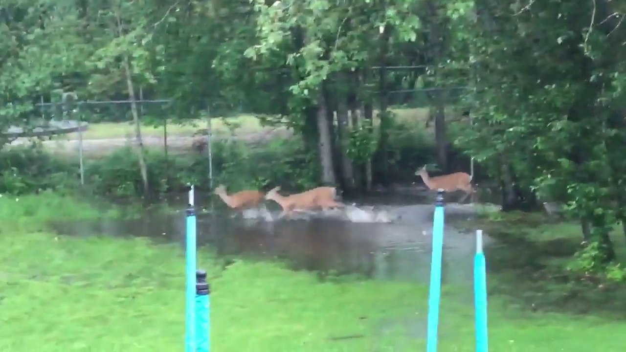 4 biches s'amusent comme des folles dans une flaque géante