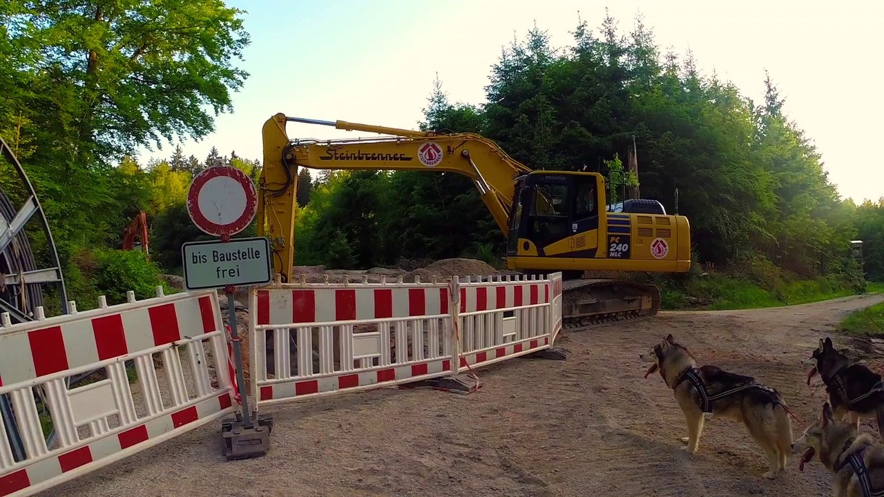 Husky Abenteuer / Mit dem Husky Gespann durch eine Baustelle / Husky Hof / Nature Trails