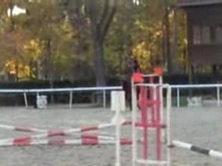 Mon aventure a cheval