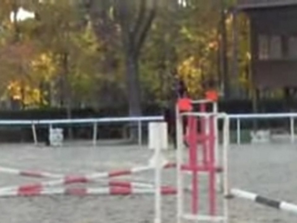 Mon aventure a cheval