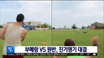 [별별영상] 부메랑 VS 원반, 진기명기 대결