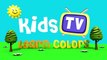 Learn colors with octopus - Octopus draws a picture videos for kids