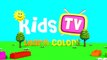 Learn Colors with Surprise EGGS for Kids - Colours EGGS for Children Toddlers