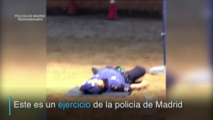 El perro policía que simula una reanimación cardiopulmonar