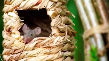 Top Gear and Grand Tour Funniest Moments Compilation