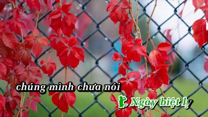 [Karaoke] Nhật Ký Đời Tôi - Đan Nguyên ft. Mai Thiên Vân
