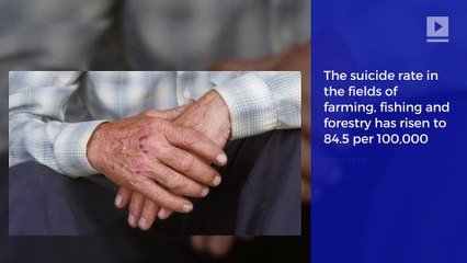 American Farmers Are Killing Themselves in Record Numbers