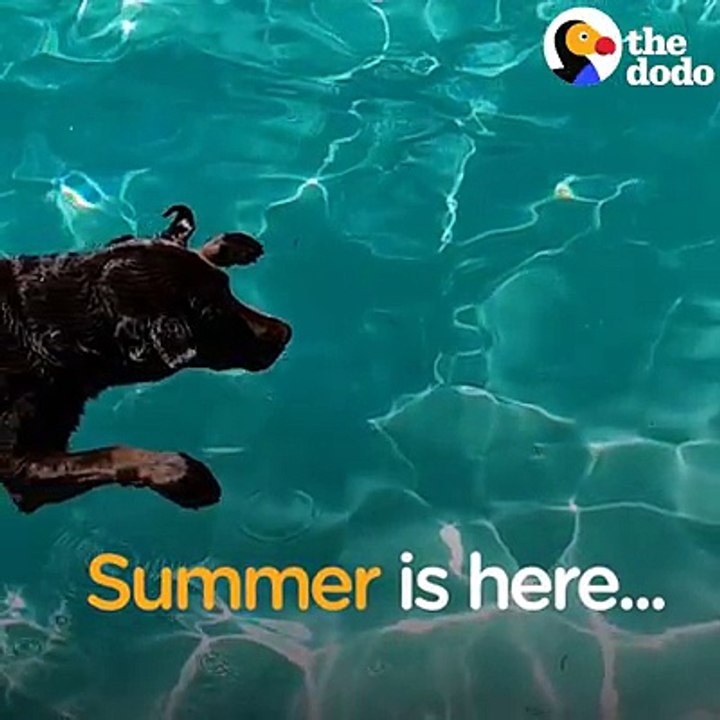 #SuperSlowMo pool party! Summer is officially here and we’re not missing a moment — or splash ☀️ #withGalaxy : Galaxy S9. Explore Super Slow-mo here: