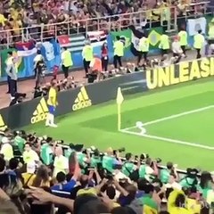 Resumen Brasil 2 vs Serbia 0 Todos los goles All Goals Thiago Paulinho World Cup