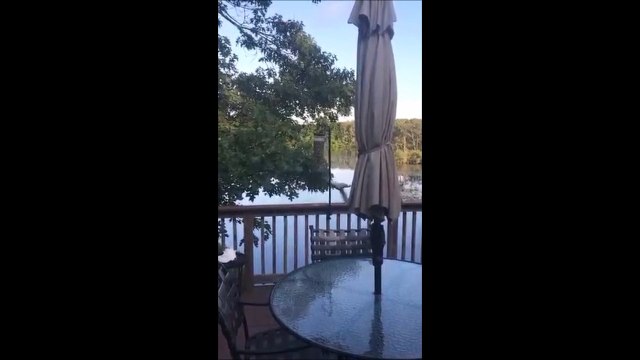 Les écureuils aussi ont leur manèges... Ejecté à grande vitesse