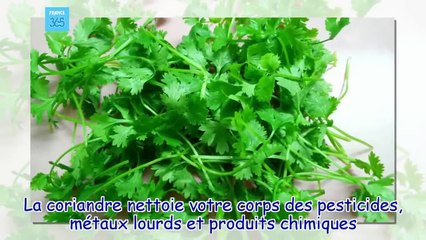 Elle va vous permettre de détoxifier votre corps en un rien de temps. Découvrez-la !