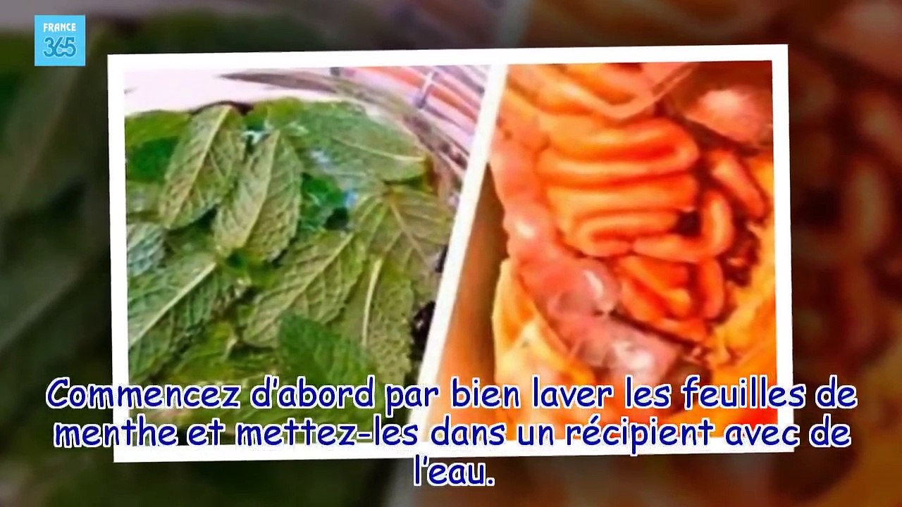 Voici la plante qui vous débarrassera de toute la mauvaise graisse et nettoiera votre foie