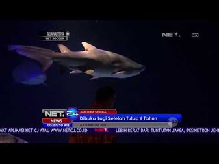 Akuarium Hiu Dibuka Lagi Setelah Tutup 6 Tahun - NET24