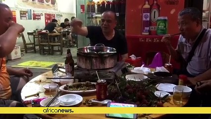 Outcry over China's controversial dog meat festival