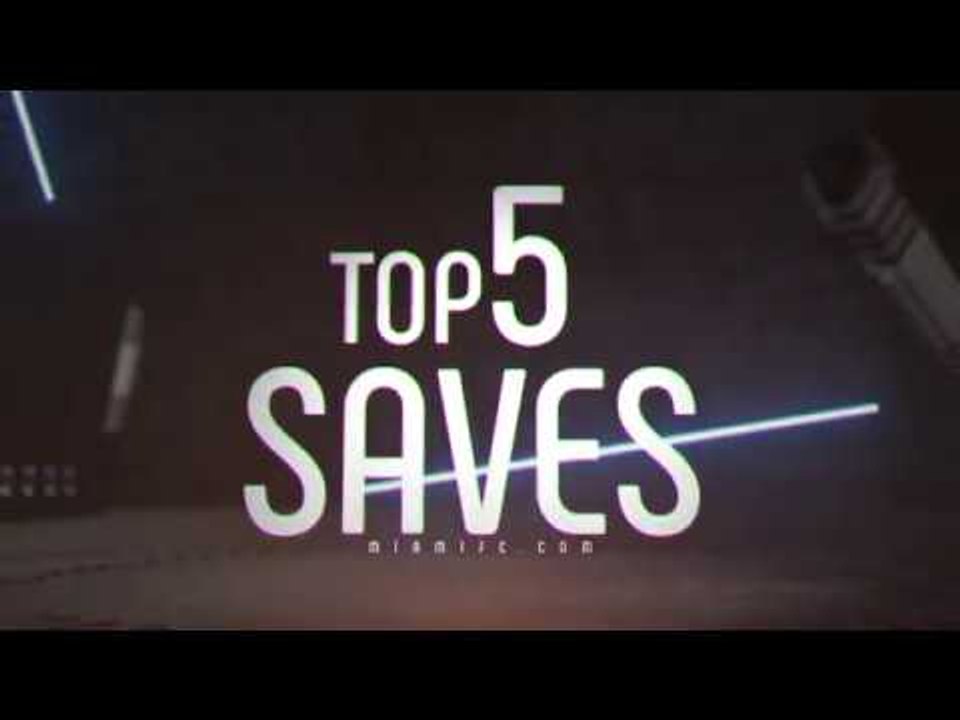 Top 5 Saves of 2017