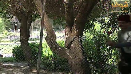 عيد الصداقة الصدوق - مسلسل عودة غوار الأصدقاء