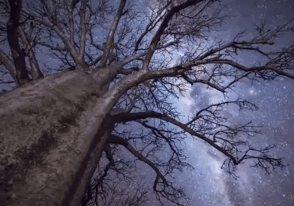 Natural Splendour of Kununurra Captured in Astrophotography Timelapses